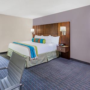 Queen Suite